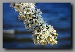 Powi�ksz