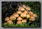 Powi�ksz