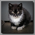 Powi�ksz