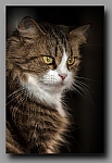 Powi�ksz