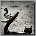 Powi�ksz