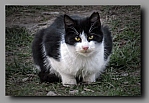 Powi�ksz