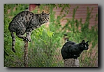 Powi�ksz