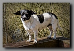 Powi�ksz