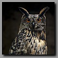 Powi�ksz